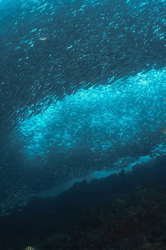 Inside the Enchanted Waterways poster